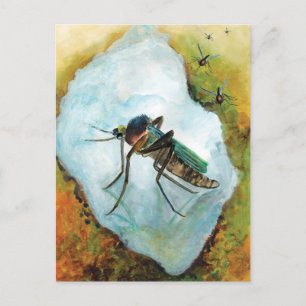 Annoying Mosquito Summer Delight Postcard