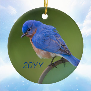 Annual Bluebird Christmas Ceramic Ornament