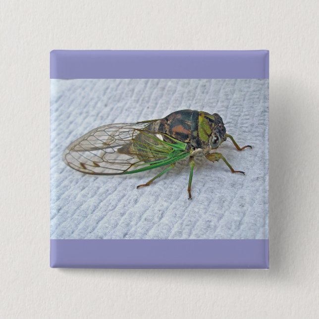 Annual Cicada Coordinating Items 15 Cm Square Badge (Front)