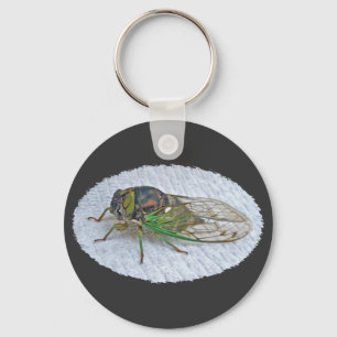 Annual Cicada Coordinating Items Key Ring