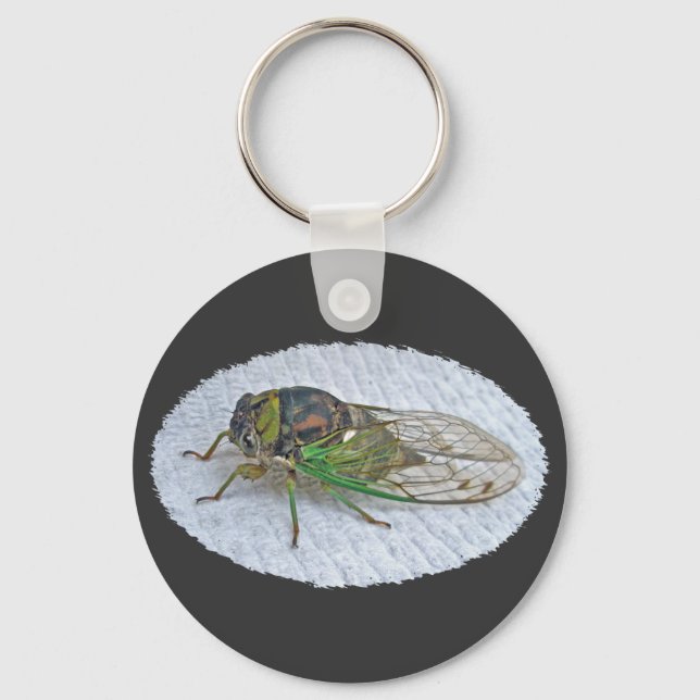 Annual Cicada Coordinating Items Key Ring (Front)