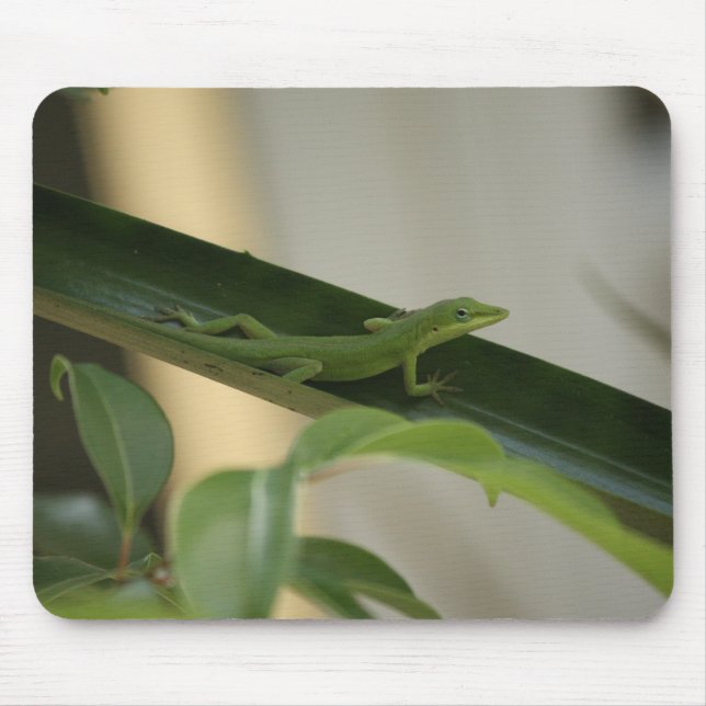 Anole Lizard Mouse Pad (Front)