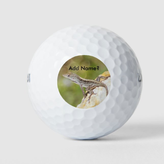 Anole Lizard Photo Golf Balls (Front)