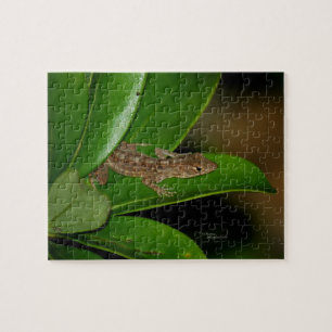 Anole Lizard Puzzle