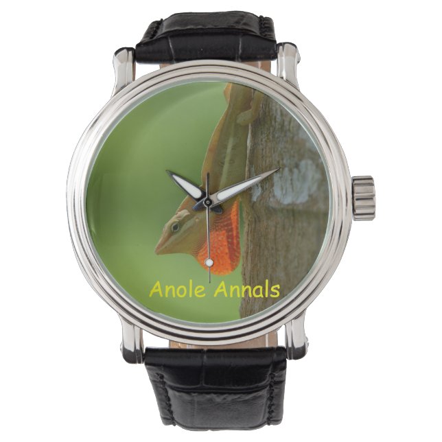 Anole Watch: Anolis pulchellus Watch (Front)
