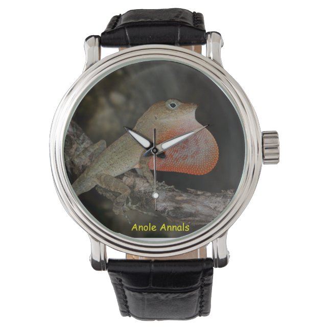 Anole Wristwatch: Anolis marcanoi Watch (Front)