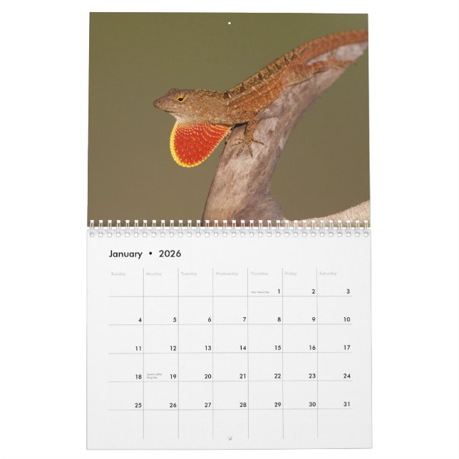 Anoles 2012 calendar (Jan 2026)