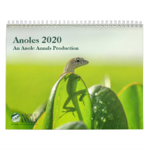 Anoles 2020 - An Anole Annals Production Calendar