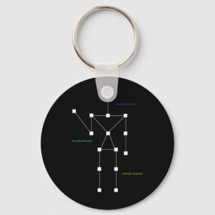 Anomaly Detected Sls Ghost Hunting Shirt - Funny P Key Ring
