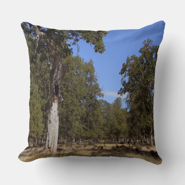 Another beautiful day.... cushion (Front)