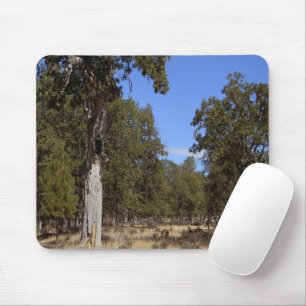 Another beautiful day.... mouse pad