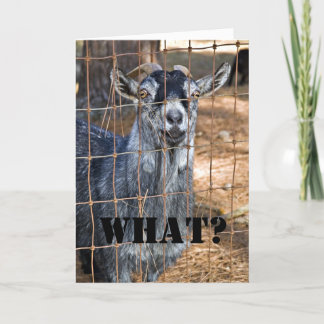 Another Birthday? Card