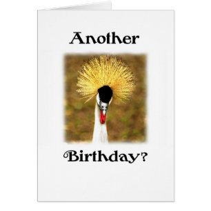 Another Birthday? Card for Senior Citizen