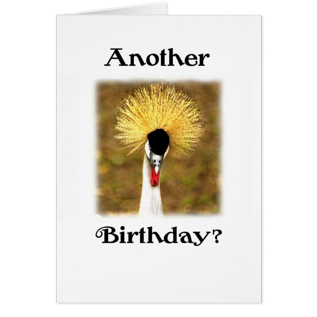 Another Birthday? Card for Senior Citizen (Front)