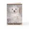 ANOTHER BIRTHDAY? Maltese Puppy Greeting Card