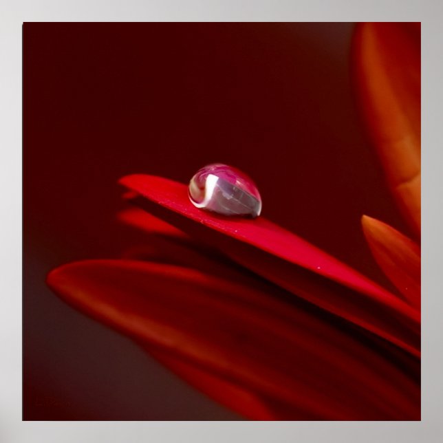 Another Brick I n The Wall Poster (Front)