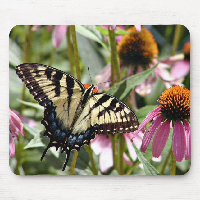 another butterfly mouse pad (Front)