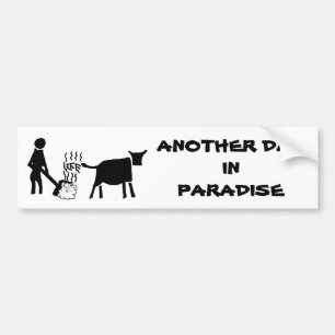 Another Day in Paradise Bumper Sticker