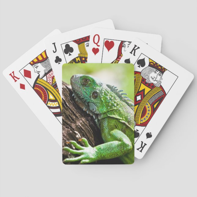 another green day playing cards (Back)