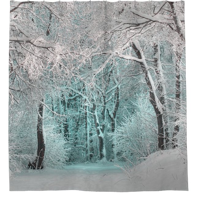 Another Winter Wonderland Shower Curtain (Front)