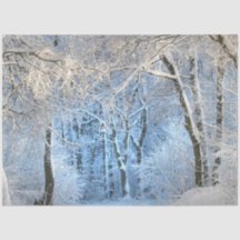 another winter wonderland