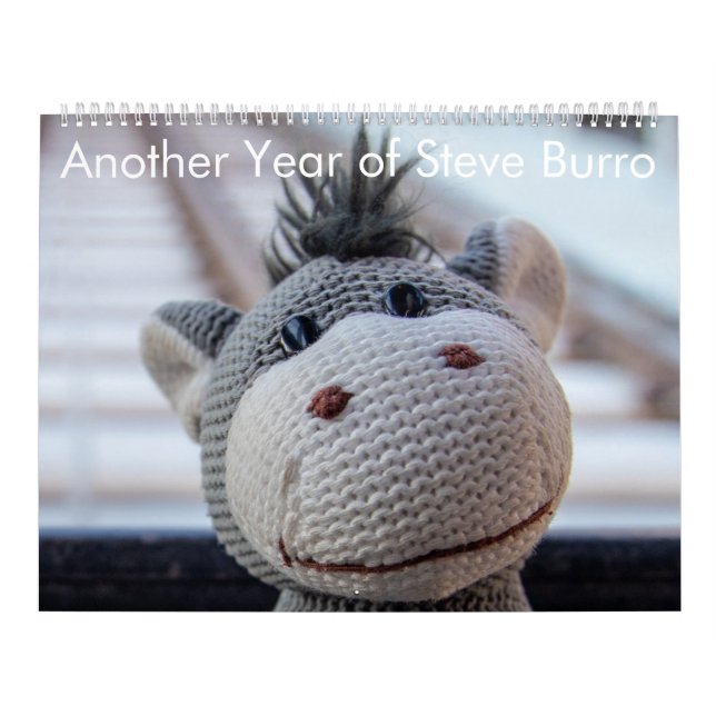 Another Year of Steve Burro Calendar (Cover)