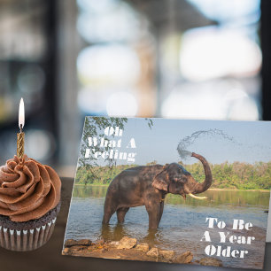 Another Year Older and Still Splashing Birthday Card