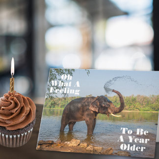 Another Year Older and Still Splashing Birthday Card