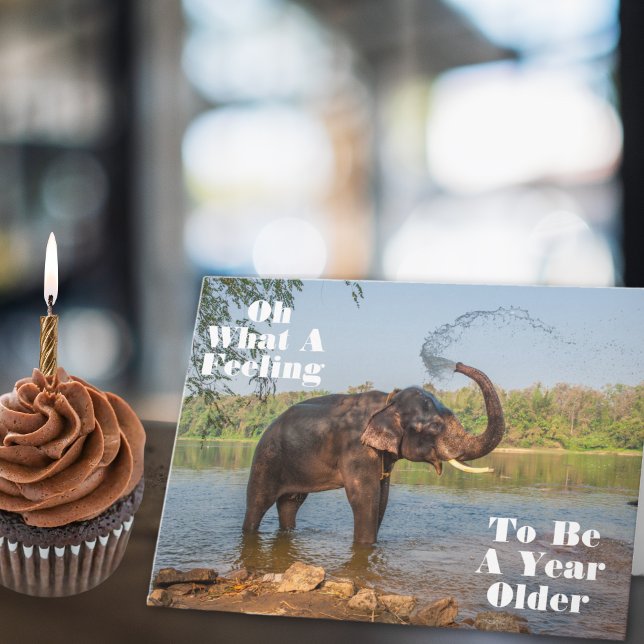 Another Year Older and Still Splashing Birthday Card (Creator Uploaded)