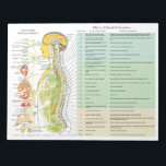 ANS Subluxation Effects Tear Off Pads<br><div class="desc">The handout list the effects of spinal subluxation on body areas and possible symptoms associated. Listed by spinal level. The autonomic nervous system in relation to the spine and the internal organs. The nerves are colour coded representing the sympathetic,  parasympathetic and cerebralspinal system.</div>
