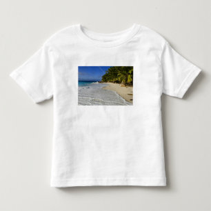 Anse Victorin Beach 2 Toddler T-Shirt