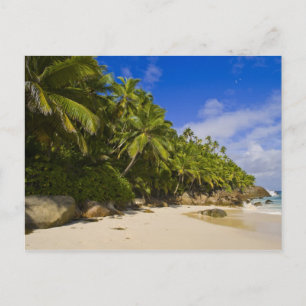 Anse Victorin Beach 3 Postcard