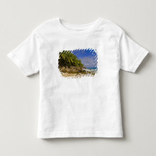 Anse Victorin Beach 4 Toddler T-Shirt