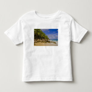 Anse Victorin Beach 4 Toddler T-Shirt