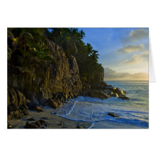 Ansi Victorin Beach 2