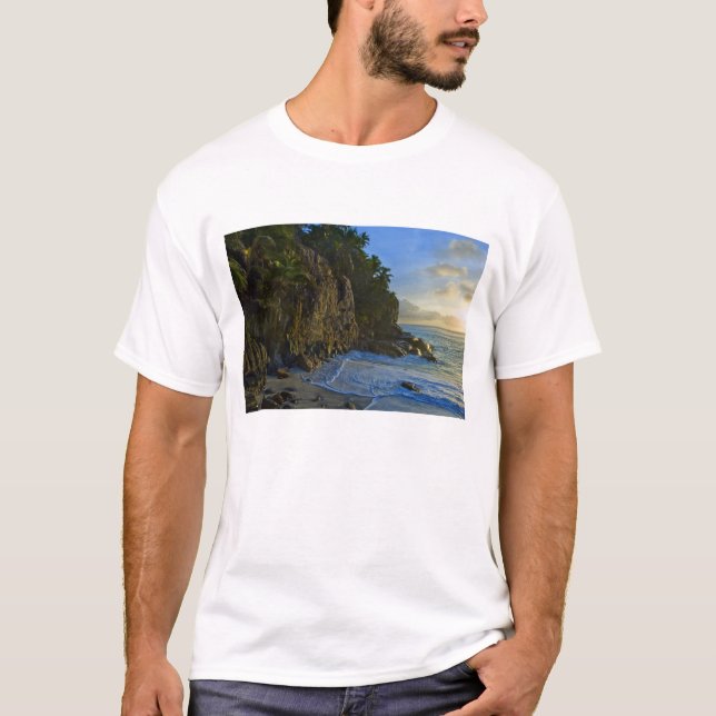 Ansi Victorin Beach 2 T-Shirt (Front)