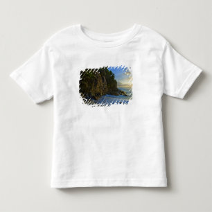 Ansi Victorin Beach 2 Toddler T-Shirt
