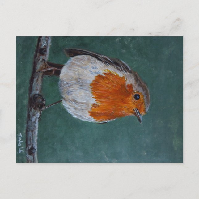 Ansichtkaart Roodborst. Postcard (Front)