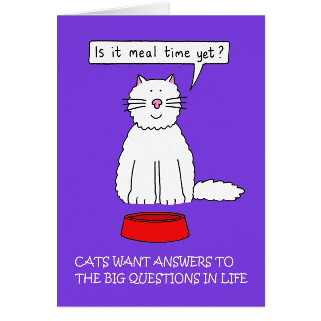 Answer Your Cat's Questions Day  January (Front)