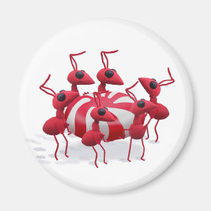 Ant and Candy Magnet