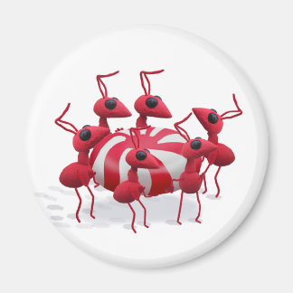 Ant and Candy Magnet