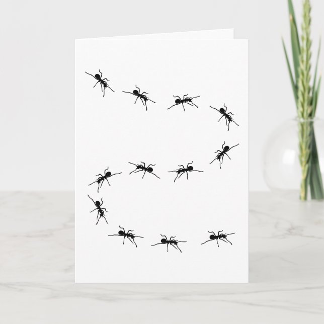 Ant Ants Keeping Ant Farm Gift Funny Card (Front)