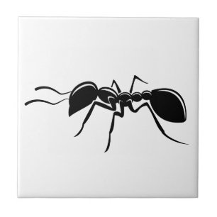 Ant drawing insect ceramic tile