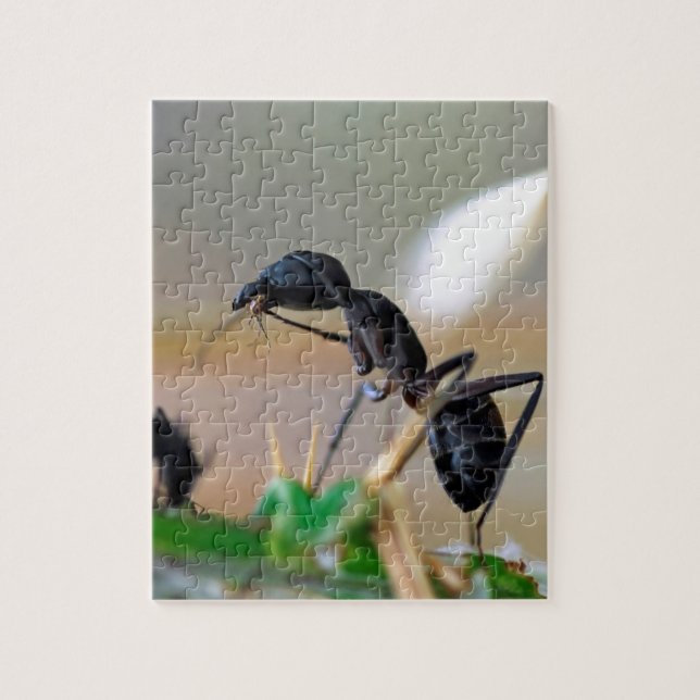 Ant eating insect jigsaw puzzle (Vertical)