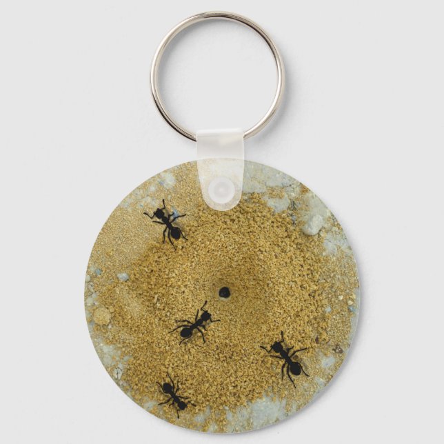 Ant Hill Key Chain (Front)