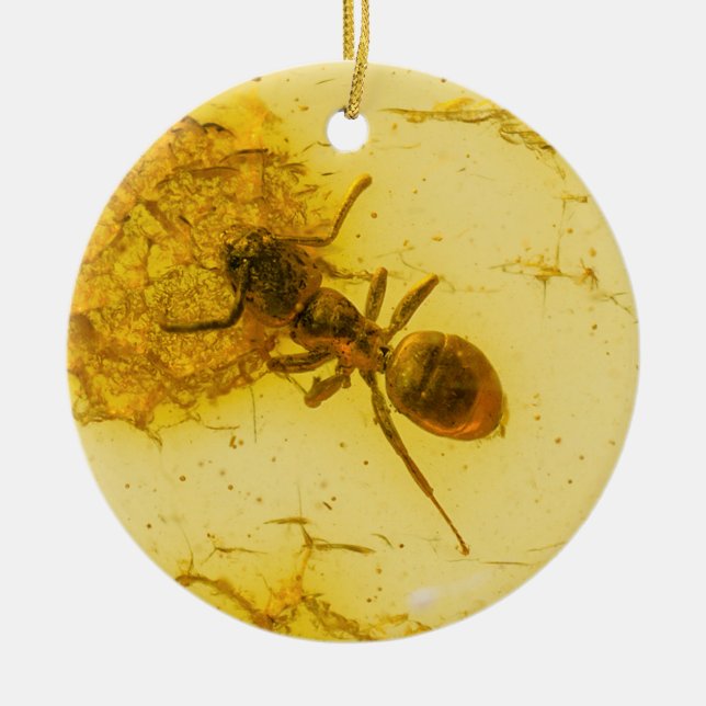 Ant inside amber ceramic ornament (Front)