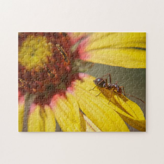 ant jigsaw puzzle (Horizontal)