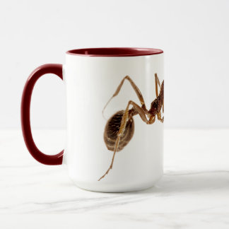 ANT MUGS