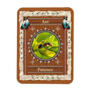 Ant Patience Energy Magnet