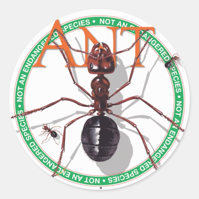 Ant Sticker (Front)